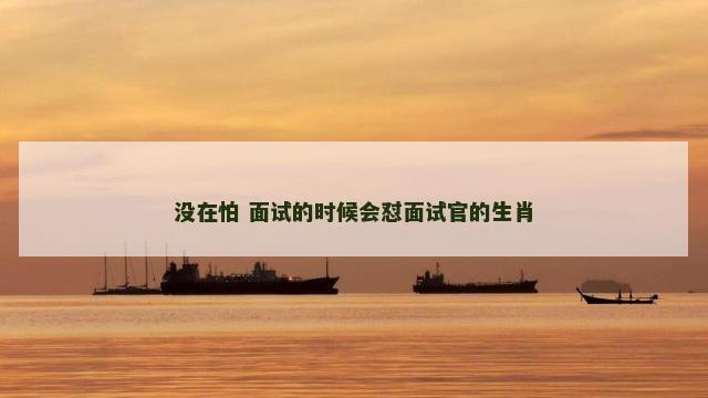 没在怕 面试的时候会怼面试官的生肖