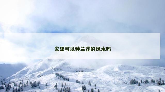 家里可以种兰花的风水吗