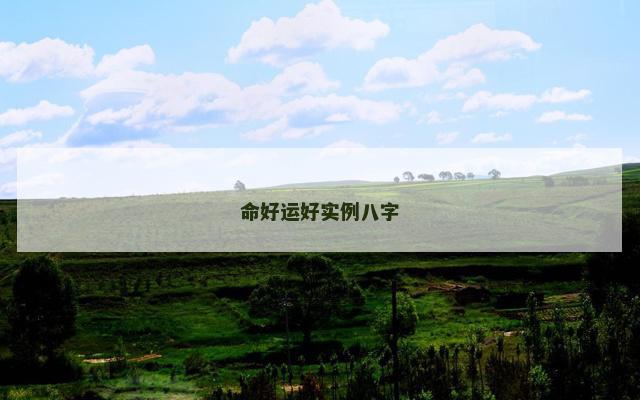 命好运好实例八字