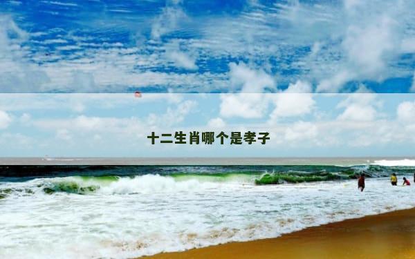 十二生肖哪个是孝子