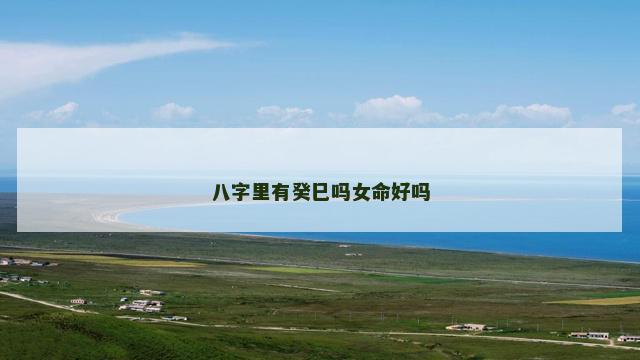八字里有癸巳吗女命好吗