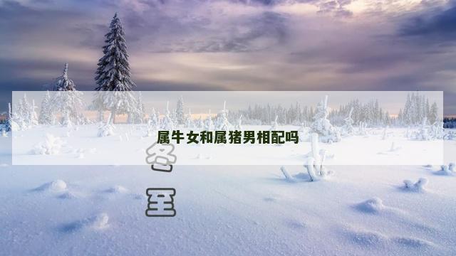 属牛女和属猪男相配吗