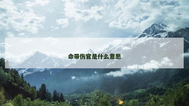 命带伤官是什么意思