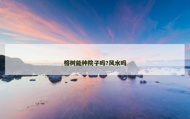 榕树能种院子吗?风水吗