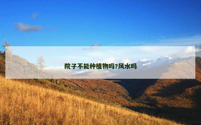 院子不能种植物吗?风水吗