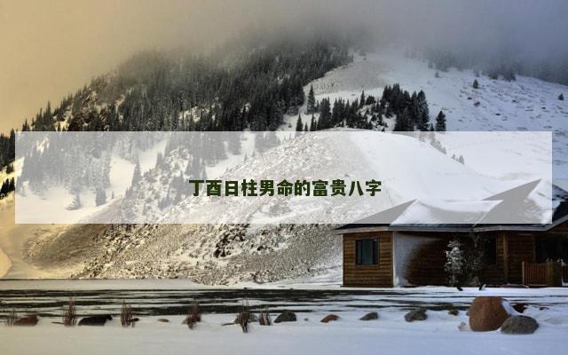 丁酉日柱男命的富贵八字