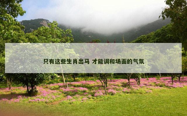 只有这些生肖出马 才能调和场面的气氛