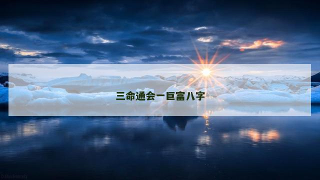 三命通会一巨富八字