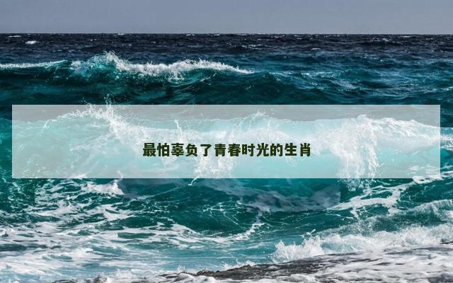 最怕辜负了青春时光的生肖