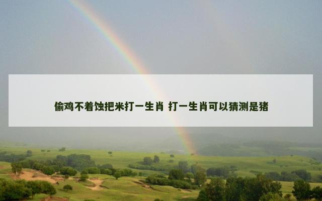 偷鸡不着蚀把米打一生肖 打一生肖可以猜测是猪