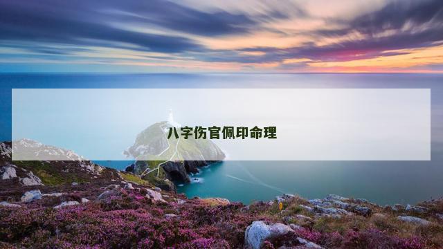 八字伤官佩印命理