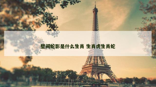 壁间蛇影是什么生肖 生肖虎生肖蛇