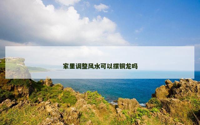 家里调整风水可以摆铜龙吗
