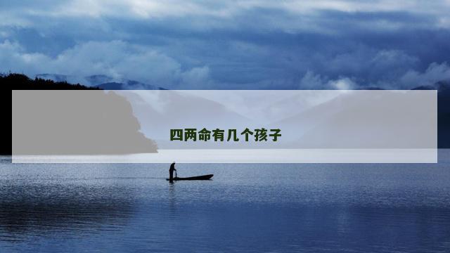 四两命有几个孩子