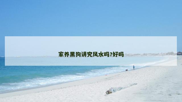 家养黑狗讲究风水吗?好吗