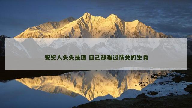 安慰人头头是道 自己却难过情关的生肖