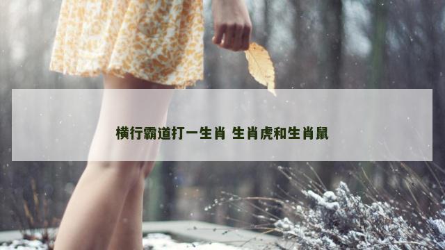 横行霸道打一生肖 生肖虎和生肖鼠