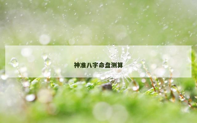 神准八字命盘测算