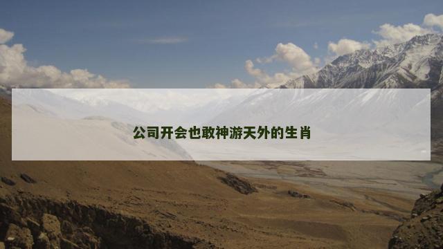 公司开会也敢神游天外的生肖