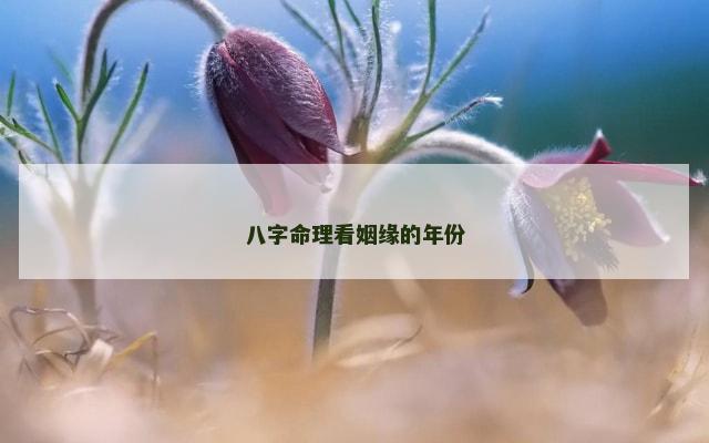 八字命理看姻缘的年份