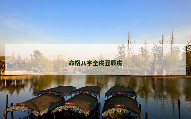 命格八字全戍丑辰戌