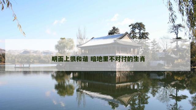 明面上很和谐 暗地里不对付的生肖