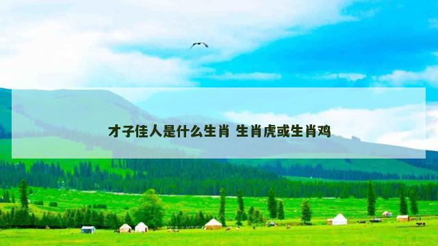 才子佳人是什么生肖 生肖虎或生肖鸡