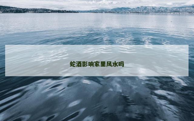 蛇酒影响家里风水吗