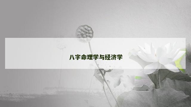 八字命理学与经济学