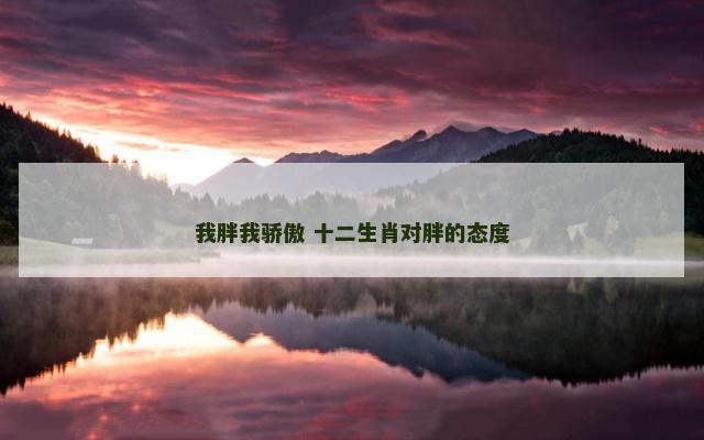 我胖我骄傲 十二生肖对胖的态度