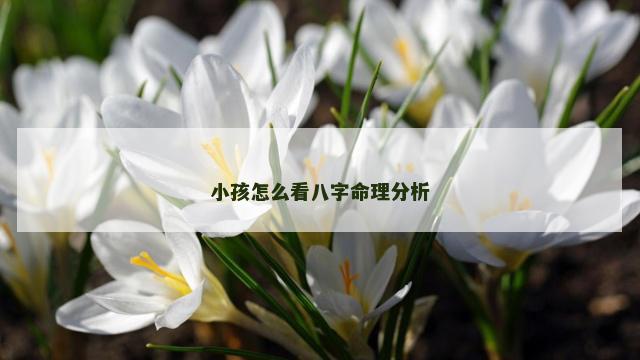 小孩怎么看八字命理分析