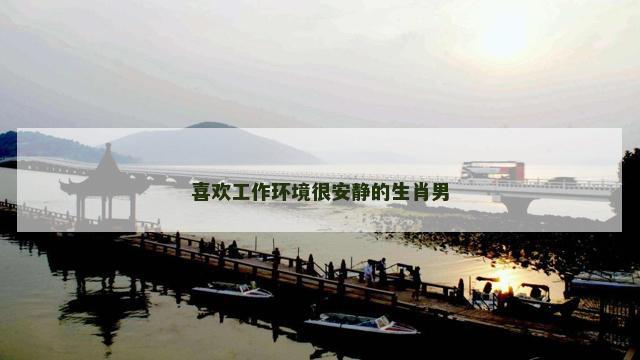 喜欢工作环境很安静的生肖男