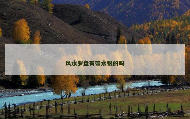 风水罗盘有带水银的吗