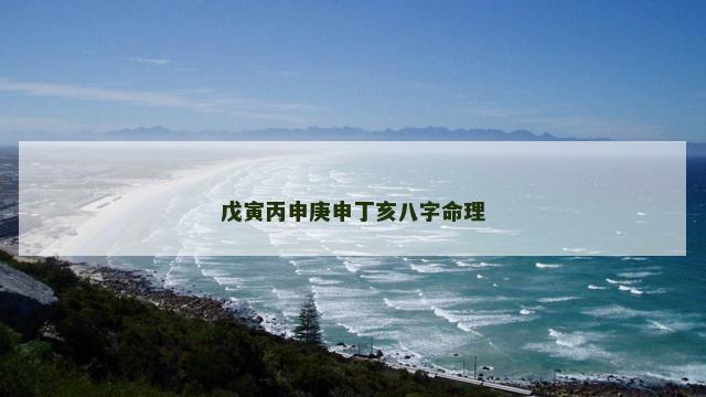 戊寅丙申庚申丁亥八字命理