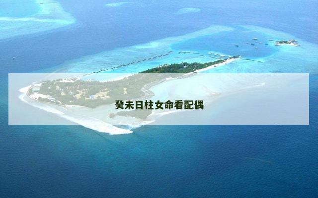 癸未日柱女命看配偶