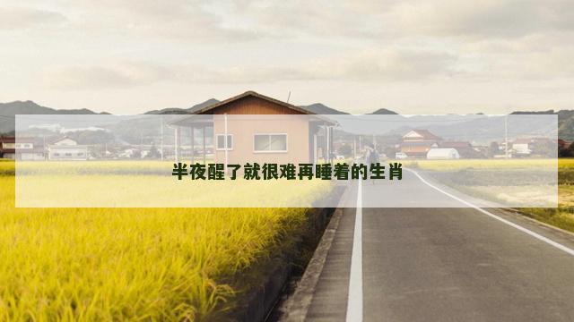 半夜醒了就很难再睡着的生肖