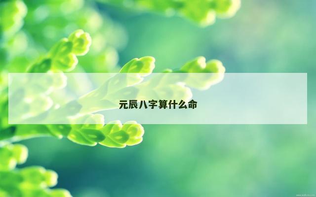 元辰八字算什么命