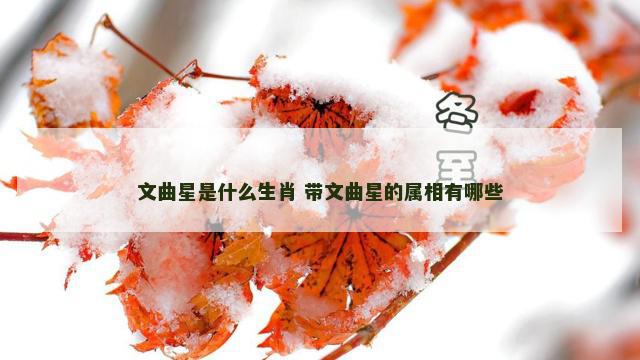 文曲星是什么生肖 带文曲星的属相有哪些