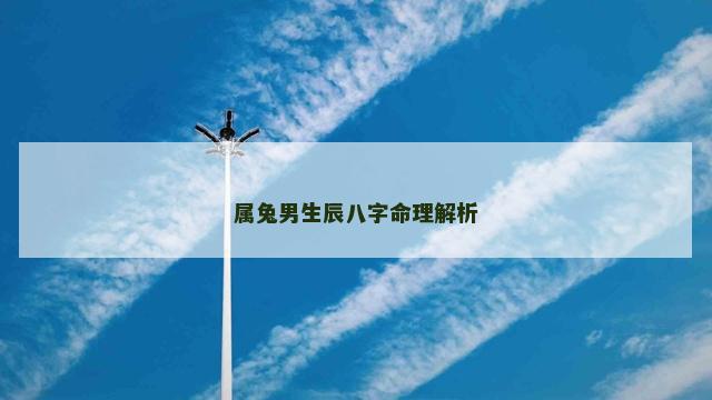 属兔男生辰八字命理解析