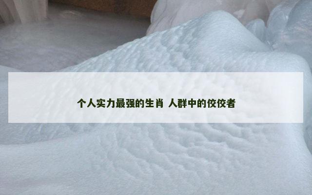 个人实力最强的生肖 人群中的佼佼者