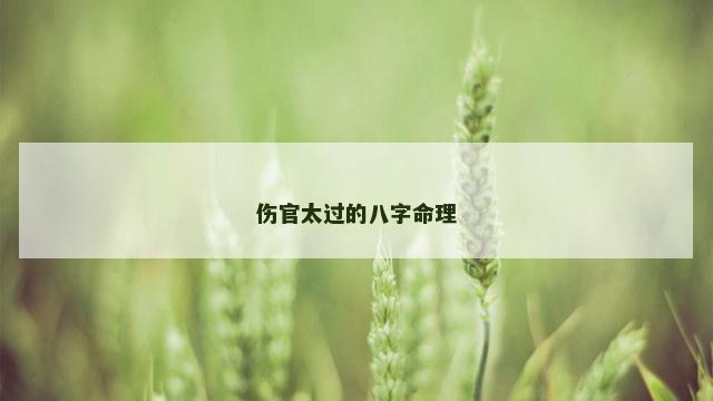伤官太过的八字命理