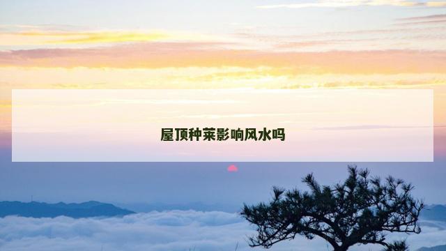屋顶种莱影响风水吗