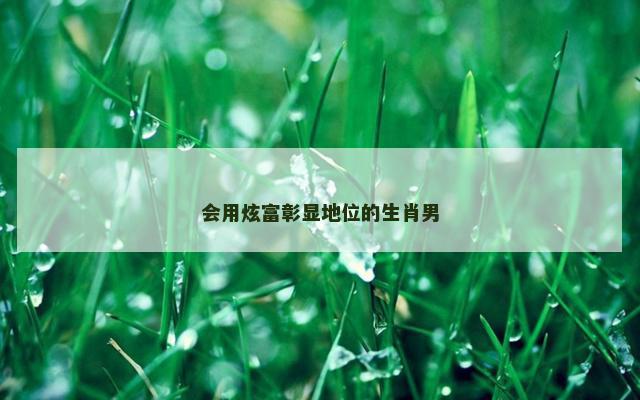 会用炫富彰显地位的生肖男