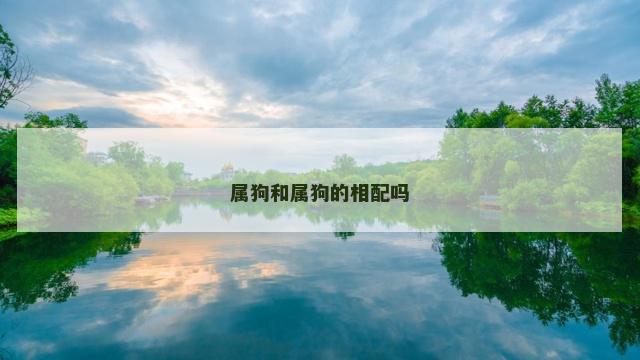 属狗和属狗的相配吗