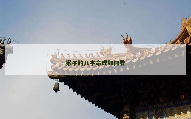 猴子的八字命理如何看