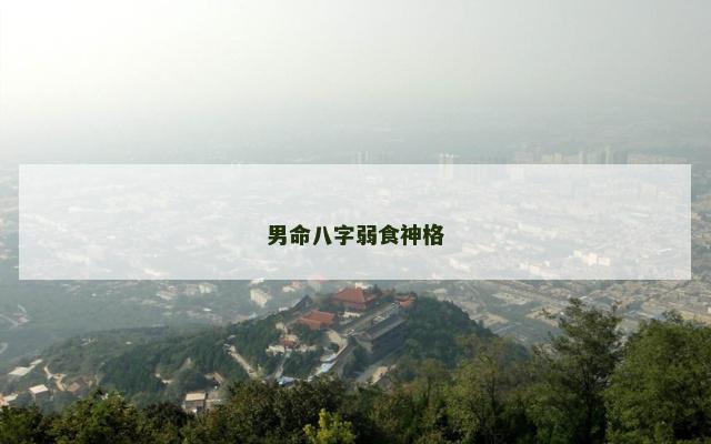 男命八字弱食神格