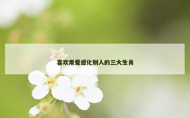 喜欢用爱感化别人的三大生肖