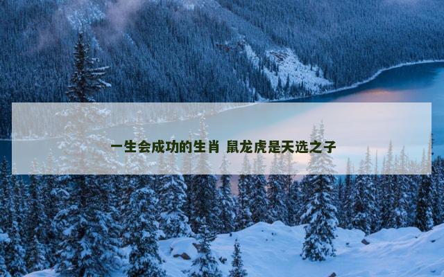 一生会成功的生肖 鼠龙虎是天选之子