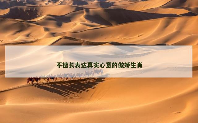 不擅长表达真实心意的傲娇生肖