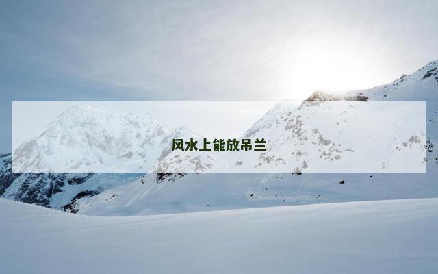 风水上能放吊兰